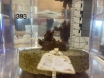 Coral Growth Measurement